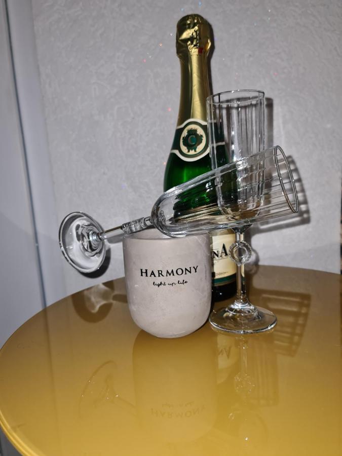 Apartman -Harmony- Paraćin Eksteriør bilde